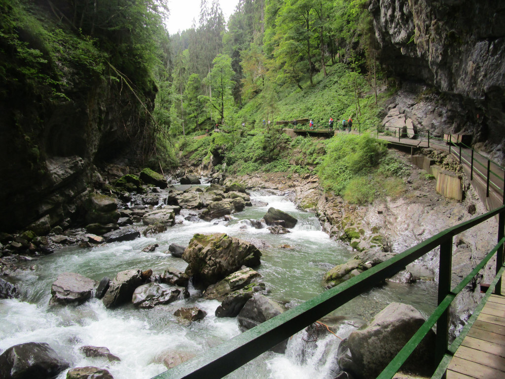 IMG_3777.JPG