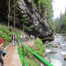 IMG_3779.JPG