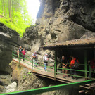 IMG_3792.JPG