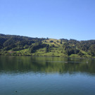 IMG_3954.JPG