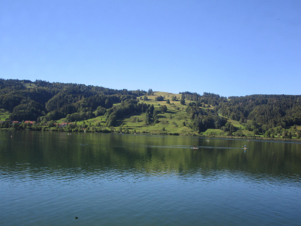IMG_3954.JPG