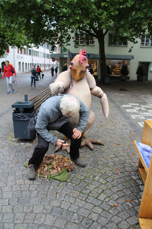 IMG_1062a_Neu.jpg