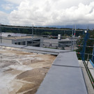 IMG_20200901_144645.jpg