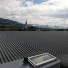IMG_20200901_144810.jpg