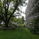 IMG_20200901_145511.jpg