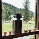 DSCF0867.jpg