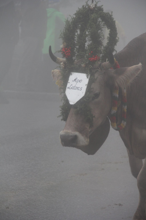 image026.jpg