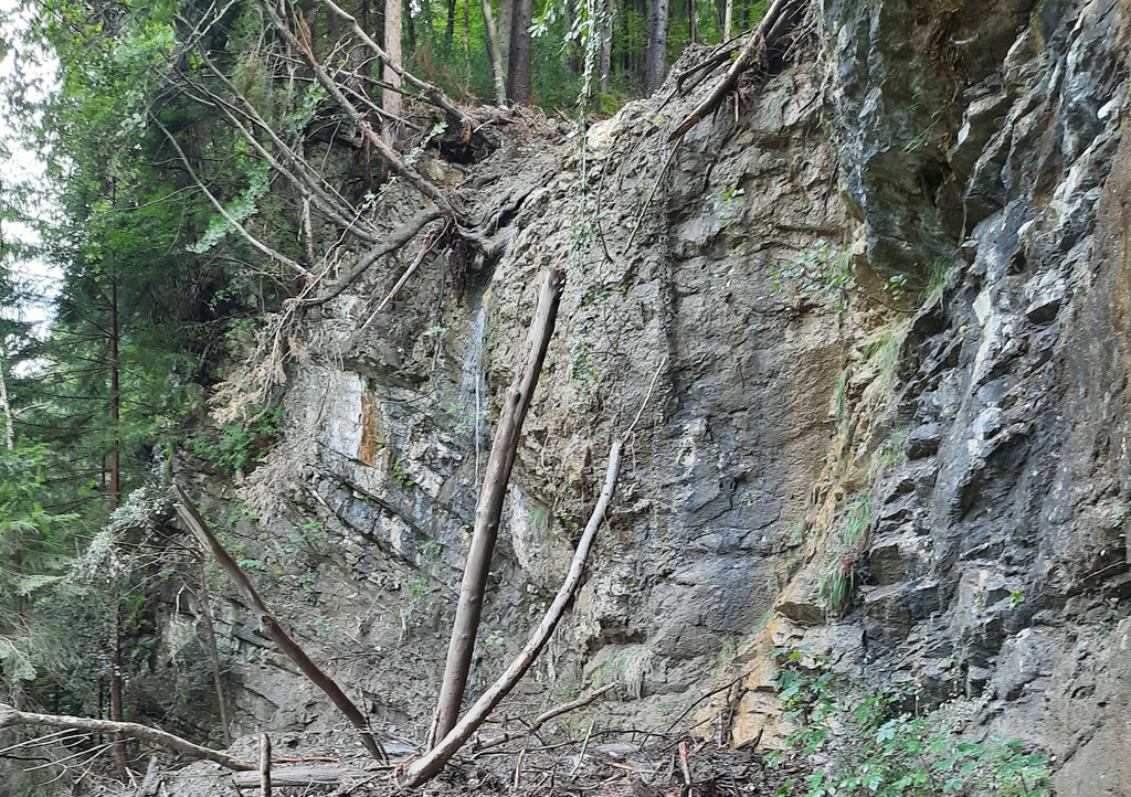 Masellaweg Hangrutschung 2020 quer.jpg
