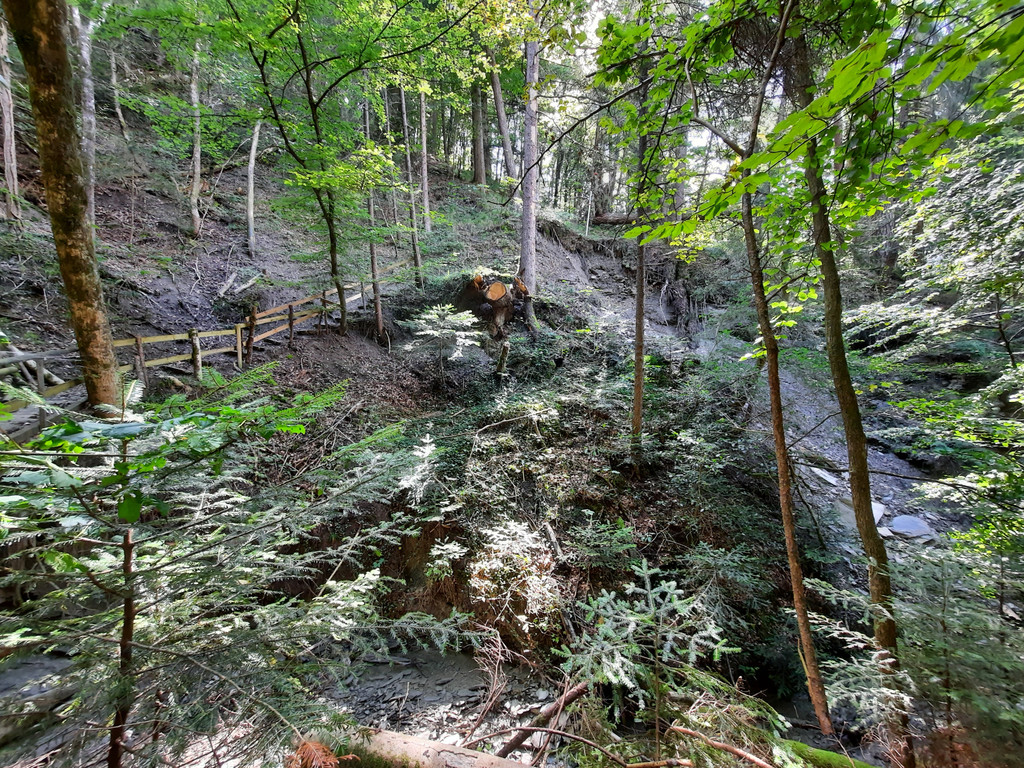 Hangrutschung _2_.jpg