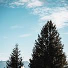 DSCF4713.jpg