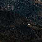 DSCF4855.jpg