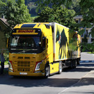 "Warrior Cats" Truck mit Kunstwerk von WolfGeorg