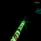 IMG_8513_JPG-1599379767.jpg