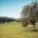 DSCF5616.jpg