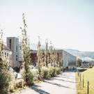 DSCF6430.jpg
