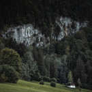 DSCF6516.jpg