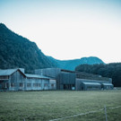DSCF6804.jpg