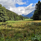 IMG_20200902_144108.jpg