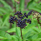 Seniorenwanderung 020920_21.JPG