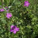 IMG_20200902_144508.jpg