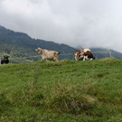 IMG_20200902_155916.jpg