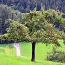 Seniorenwanderung 020920_5.JPG