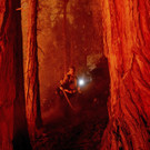 California_Wildfires_45242.jpg