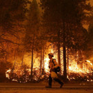 California_Wildfires_62210.jpg