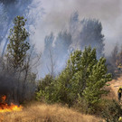 California_Wildfires_64924.jpg