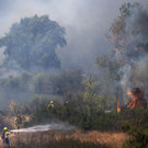 California_Wildfires_28338.jpg