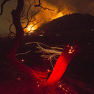 California_Wildfires_75097.jpg