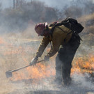 California_Wildfires_31500.jpg
