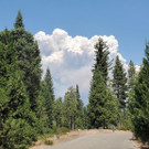 California_Wildfires_67223.jpg