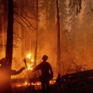 California_Wildfires_75452.jpg