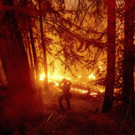 California_Wildfires_41421.jpg
