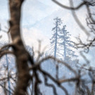 Southern_California_Wildfires_94677.jpg
