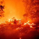 AFP_1X18C7.jpg
