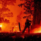AFP_1X18BY.jpg