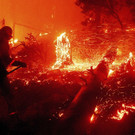 California_Wildfires_76186.jpg