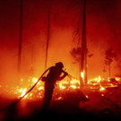 California_Wildfires_36081.jpg