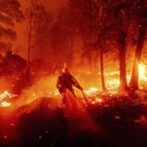 California_Wildfires_67852_1.jpg