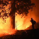 California_Wildfires_39882.jpg