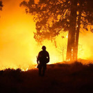 California_Wildfires_85378.jpg