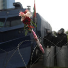 AFP_1X11I5_1.jpg