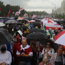 AFP_1X11L5.jpg