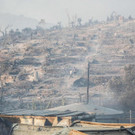 AFP_1X34G8.jpg