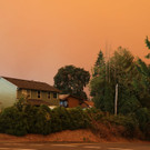 AFP_8PM7U3.jpg