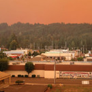 AFP_8PM7U4.jpg