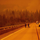 AFP_8PM6R7.jpg