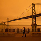 AFP_8PM69F.jpg